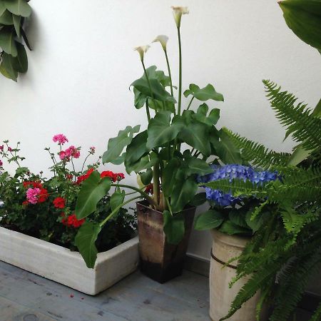 Patio San Lorenzo Кордова Екстер'єр фото