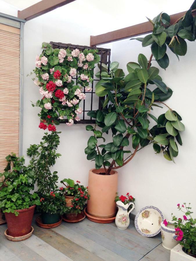 Patio San Lorenzo Кордова Екстер'єр фото