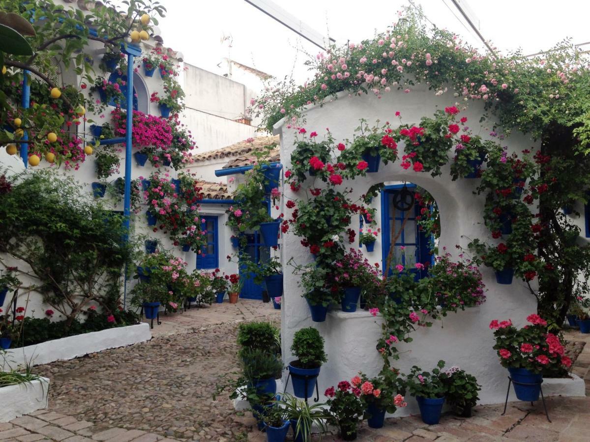 Patio San Lorenzo Кордова Екстер'єр фото