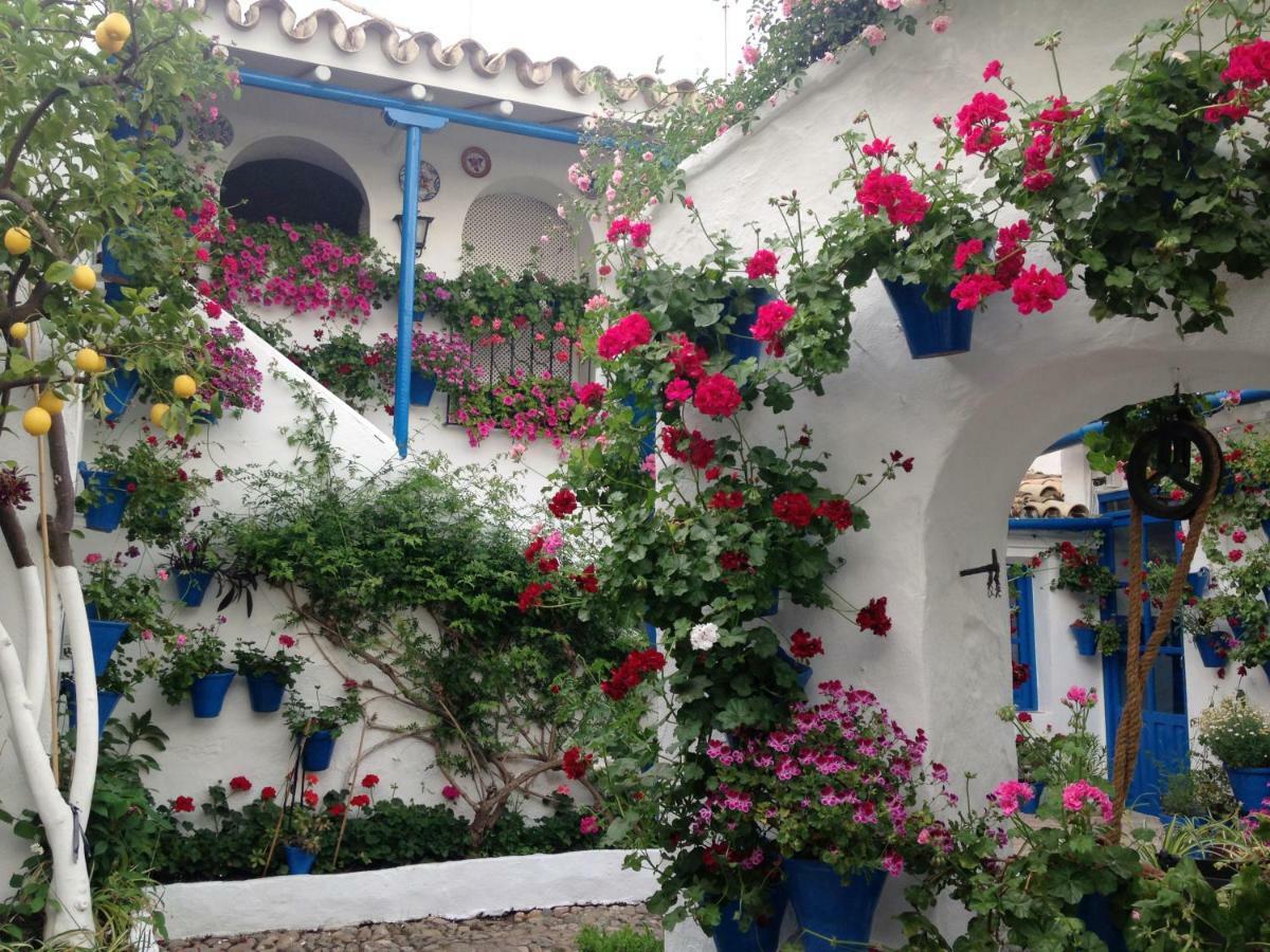 Patio San Lorenzo Кордова Екстер'єр фото